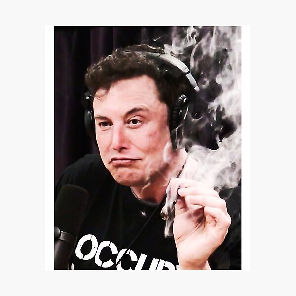 Elon Musk Smokes Weed Photographic Print