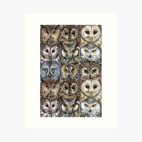 Owl Optics Art Print