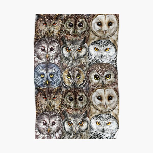 Owl Optics Poster
