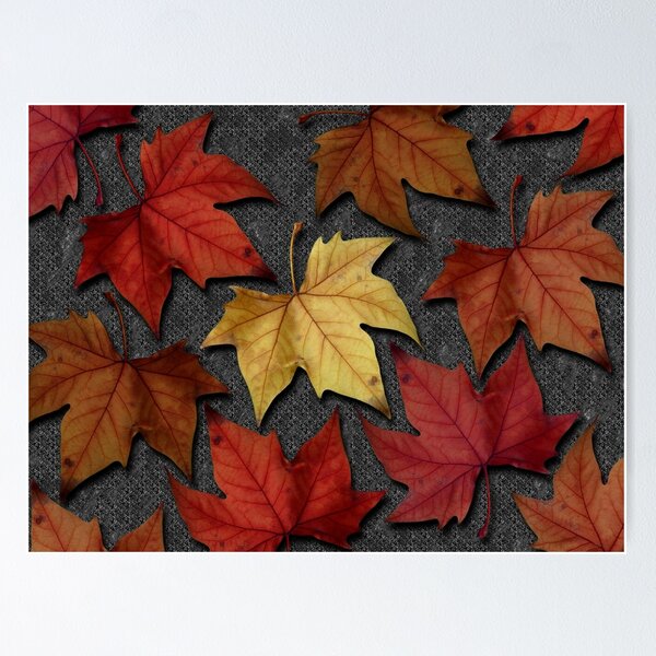 Item preview, Autumn Leaves I designed and sold by shane22.