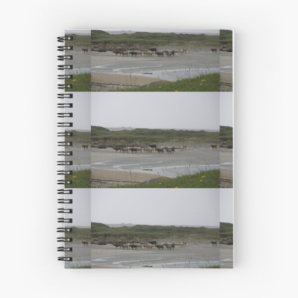 Item preview, Nude Bathers, Innisfree Island off Donegal Ireland designed and sold by mikequigley.