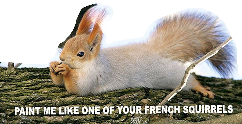 French Squirrel meme&quot; by katiehoff99 | Redbubble