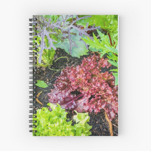 Item preview, Urban Gardening with raised beds designed and sold by novopics.