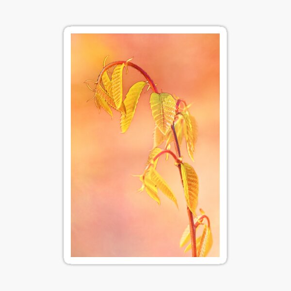 Item preview, Stylized Baby Chestnut Leaves designed and sold by Photo Art By Anita.