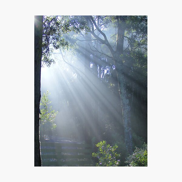 Item preview, sunrays delight designed and sold by Gaylene Norton.