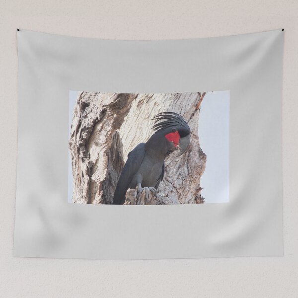 Item preview, Wild male Palm Cockatoo designed and sold by CNZdenek.