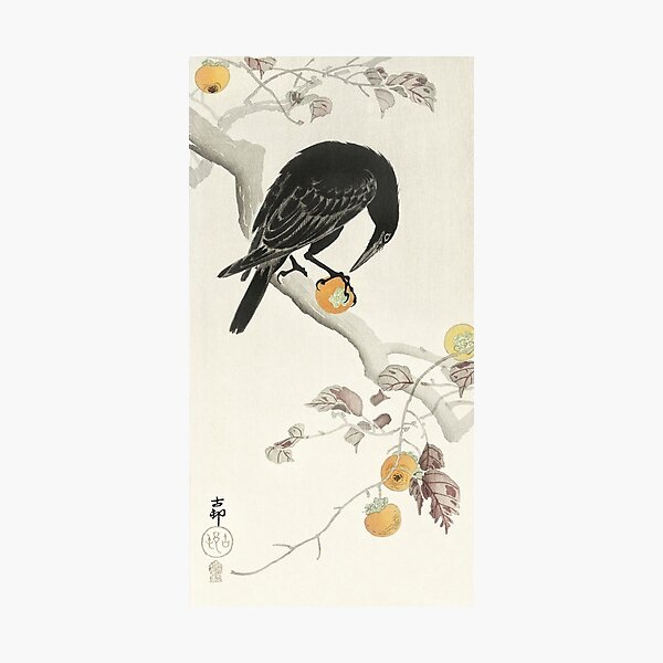 Koson Ohara - Crow with Kaki Fruit Photographic Print