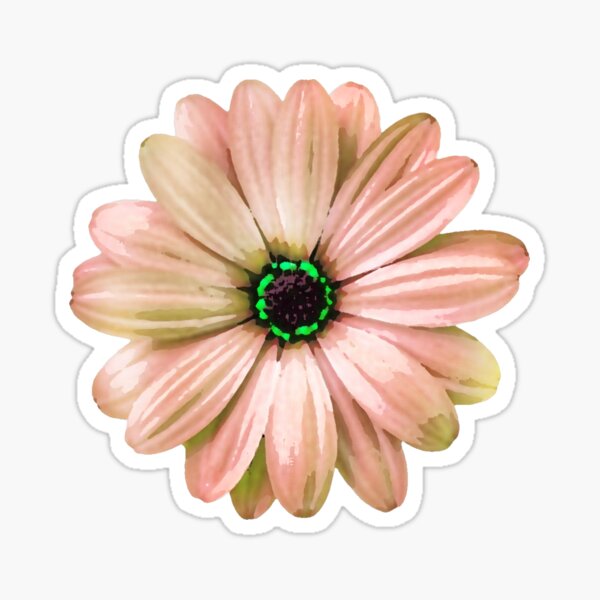 Flower Daisy Mini Small Stickers - Brooke LeAnne