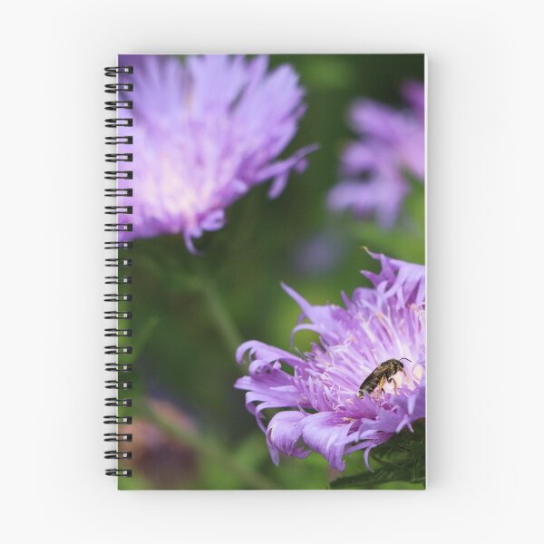 Item preview, P_66-683 Visiting Purple designed and sold by Michael McCasland.