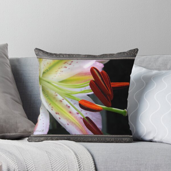 Item preview, Oriental Lily Hybrid named Mojave designed and sold by JMcCombie.