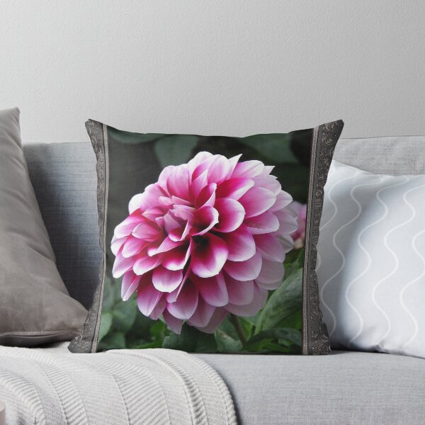 Item preview, Dwarf Dahlia named Colima designed and sold by JMcCombie.