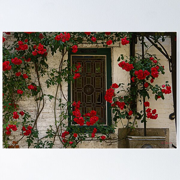 Item preview, Beguinage Window - Lier - Belgium designed and sold by Gilberte.