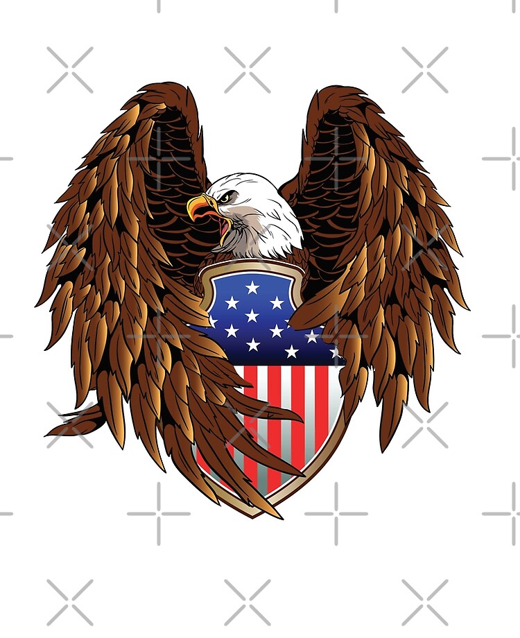 : Bald Eagle Patriotic USA Bird : Clothing, Shoes & Jewelry