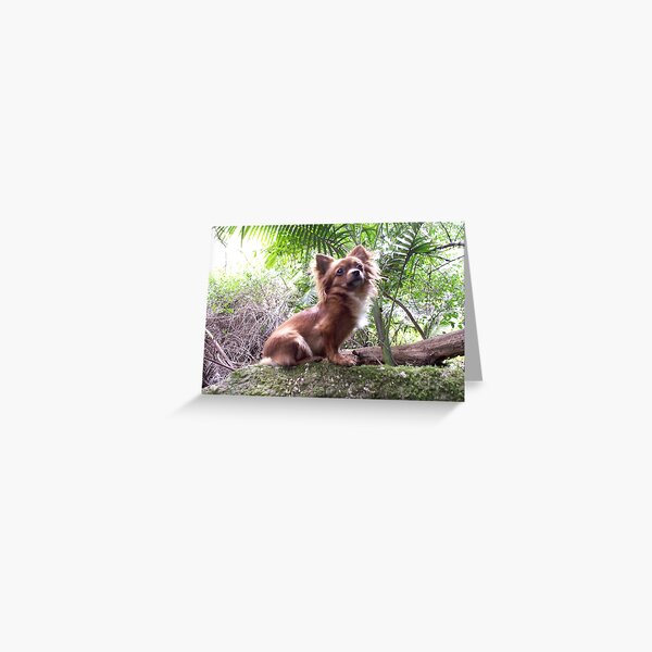 JuJu Greeting Card