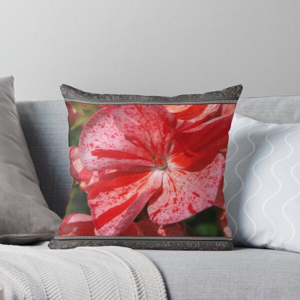 Artikelvorschau, Zonal Geranium named Mosaic Red entworfen und verkauft von JMcCombie.
