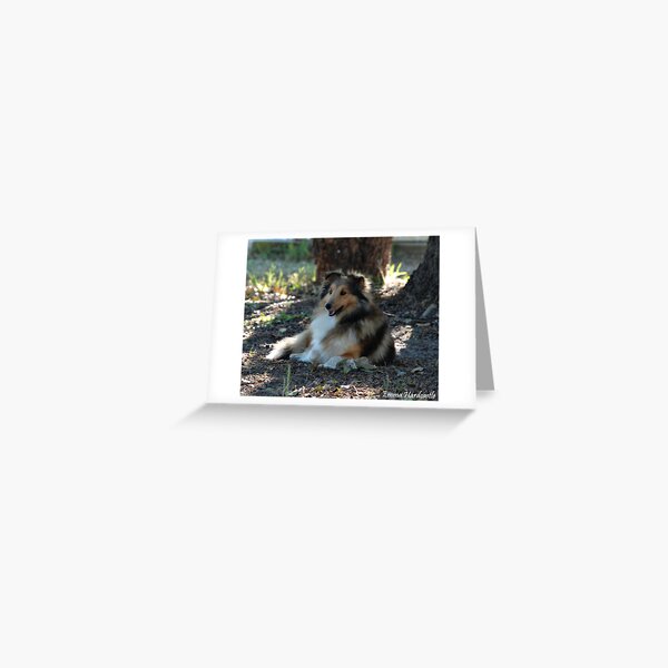 Relaxed & Unaware Greeting Card
