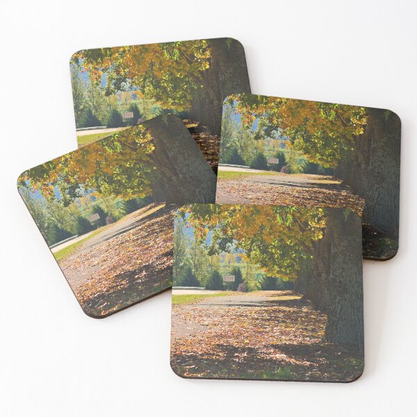 Item preview, Tawonga Path To General Store designed and sold by Joy Watson - Natural Light Photography .