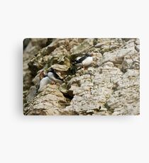 STILL ROOM Metal Print