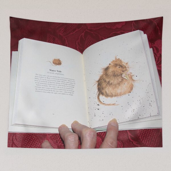 Item preview, One of my Best Books designed and sold by AnnDixon.