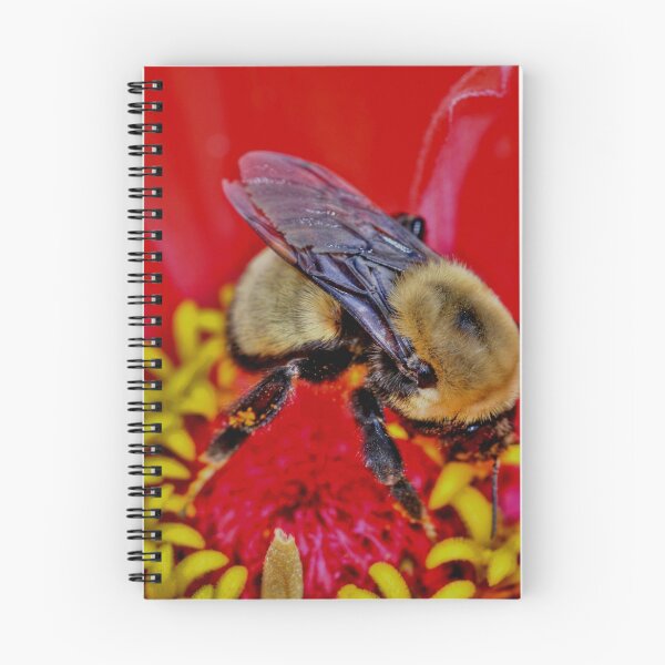 Item preview, Busy Bee designed and sold by Larry Trupp.