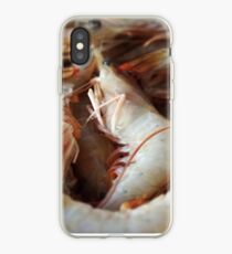 Raw Prawns iPhone Case
