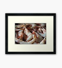 Raw Prawns Framed Print