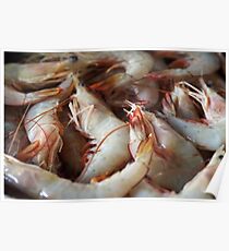 Raw Prawns Poster