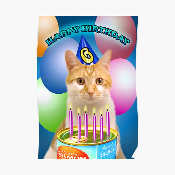 Birthday Wishes Age 6 Poster