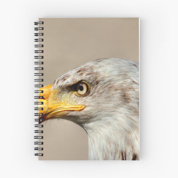 Item preview, Eagle Profile designed and sold by Larry Trupp.
