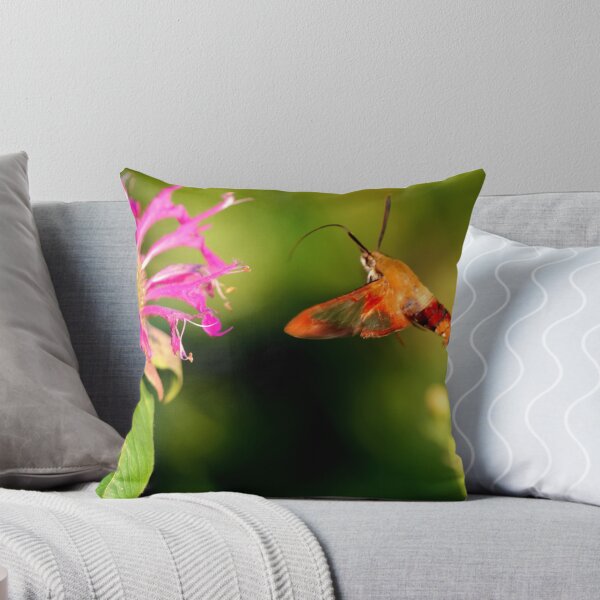 Artikelvorschau, Hummingbird Moth entworfen und verkauft von Larry Trupp.