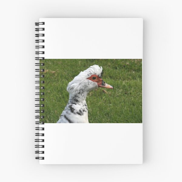 Item preview, Portrait of a Duck designed and sold by coffeebean.