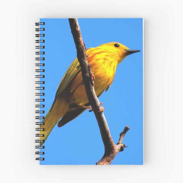 Item preview, Yellow Warbler designed and sold by Larry Trupp.
