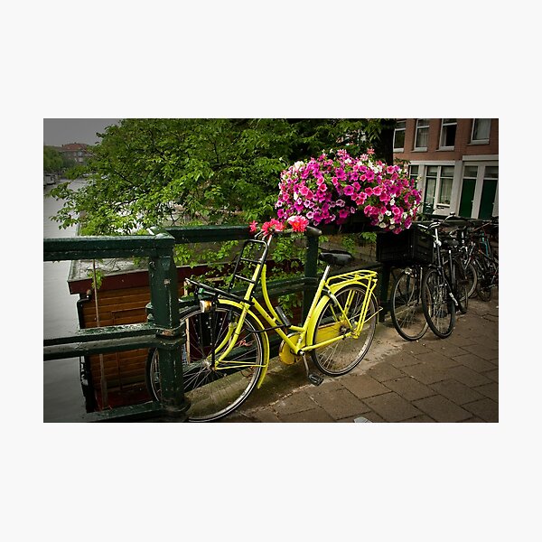 Yellow bike and pink flowers Photographic Print