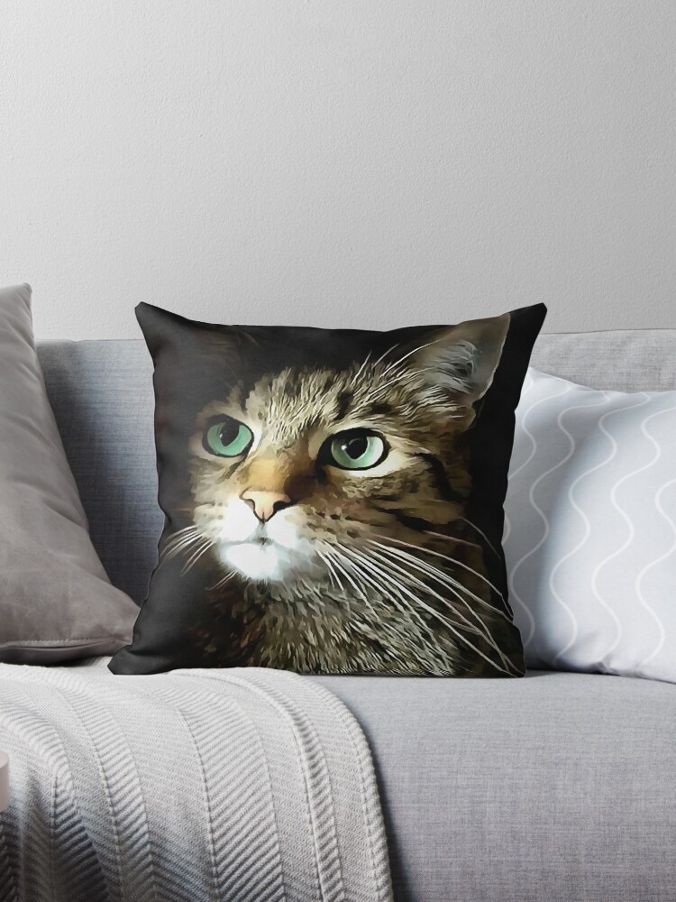 couch pillow tabby black