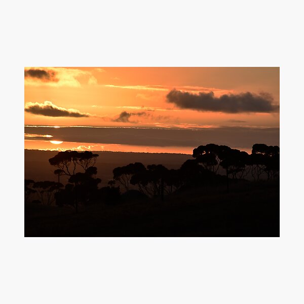 Item preview, Kangaroo Island, Silhouette Sunrise designed and sold by imaginethis.