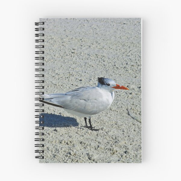 Item preview, Stay Awhile designed and sold by Michiale.