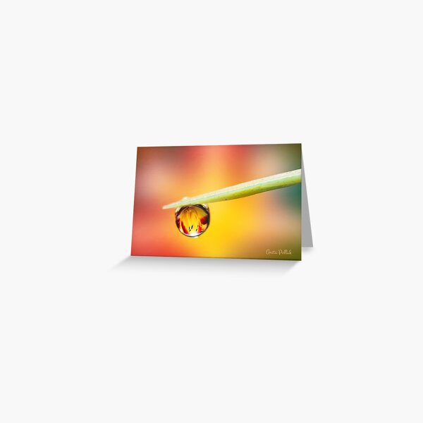 Daylily in a Droplet Greeting Card