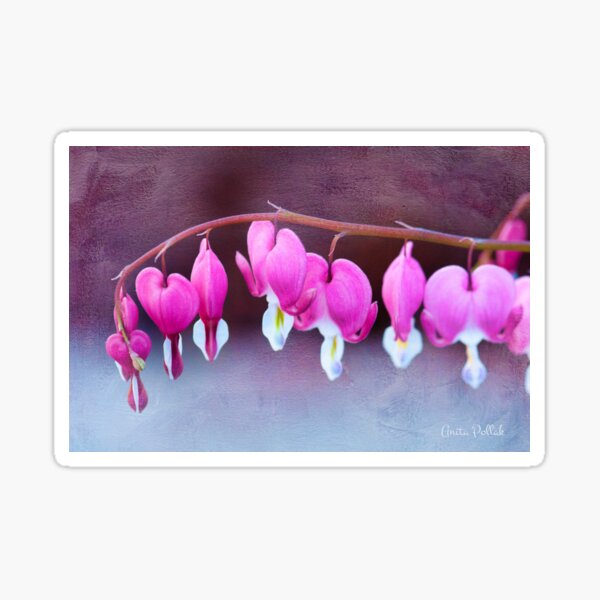 A Bevy of Bleeding Hearts Sticker