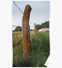 A fence receding in my backyard Poster