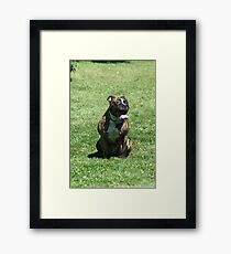 Can somebody turn on the air conditioning! Framed Print