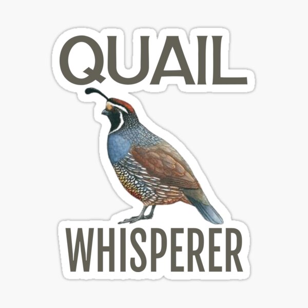 Quail Whisperer Sticker