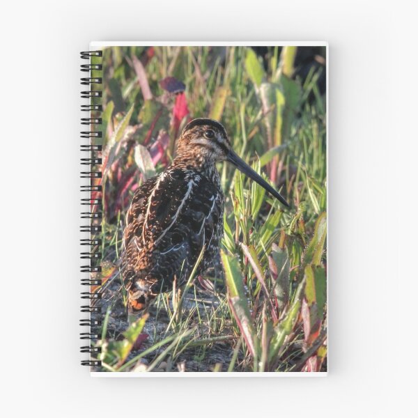 Item preview, WILSON'S SNIPE designed and sold by Larry Trupp.