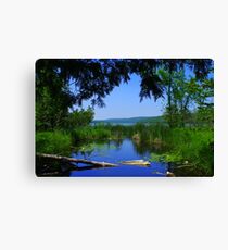 Tunnel Vision of Fumee Lake Canvas Print