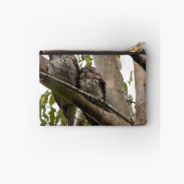Item preview, Frogmouths: Thinking of Springtime.  designed and sold by ginnymac.