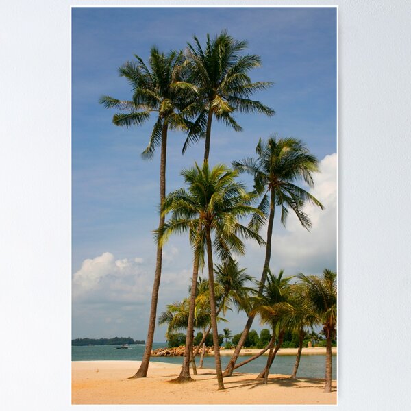 Item preview, A palm lined beach in the tropics designed and sold by jwwallace.