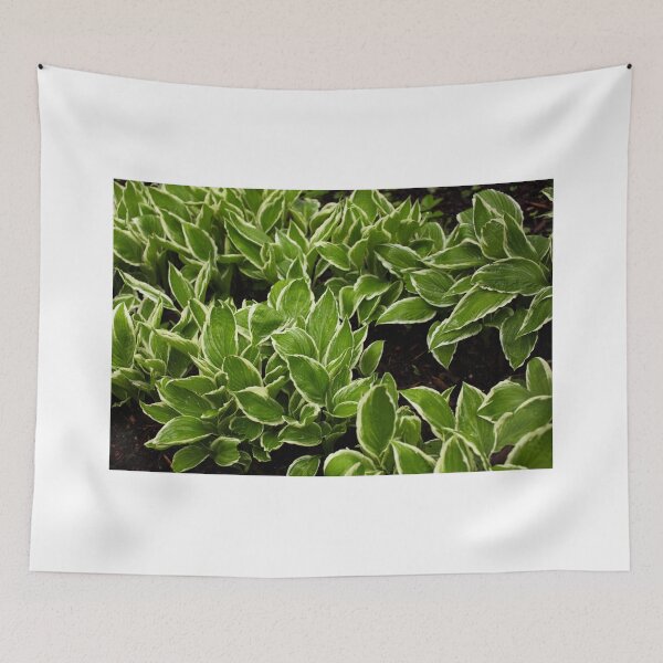 Item preview, Hasta designed and sold by jklune.