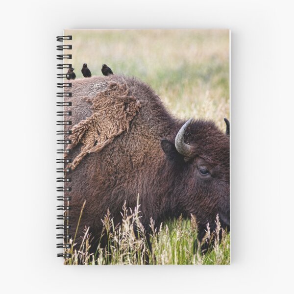 Item preview, Bison and Blackbirds designed and sold by Hugh Olin Smith Jr.