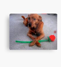 On Guard Metal Print