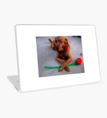 On Guard Laptop Skin