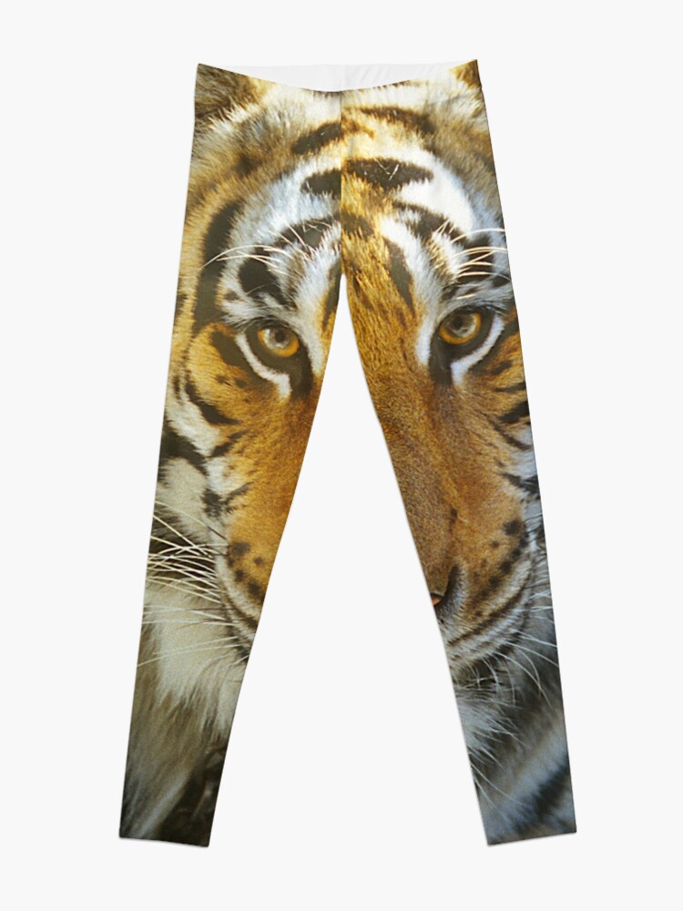 Tiger Face: Up Close and VERY Personal Art Photo Leggings for